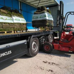 Czerwony wózek widłowy załadowuje palety z trawą rolowaną na platformę ciężarówki z napisem 'MC|VEHICLES' na boku, w tle widoczny budynek i czerwony bus.