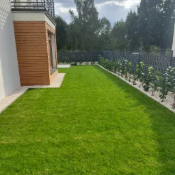 Zadbany trawnik przylegający do nowoczesnego domu z drewnianą elewacją, obrzeża z białego żwiru, rząd młodych drzewek wzdłuż ogrodzenia.