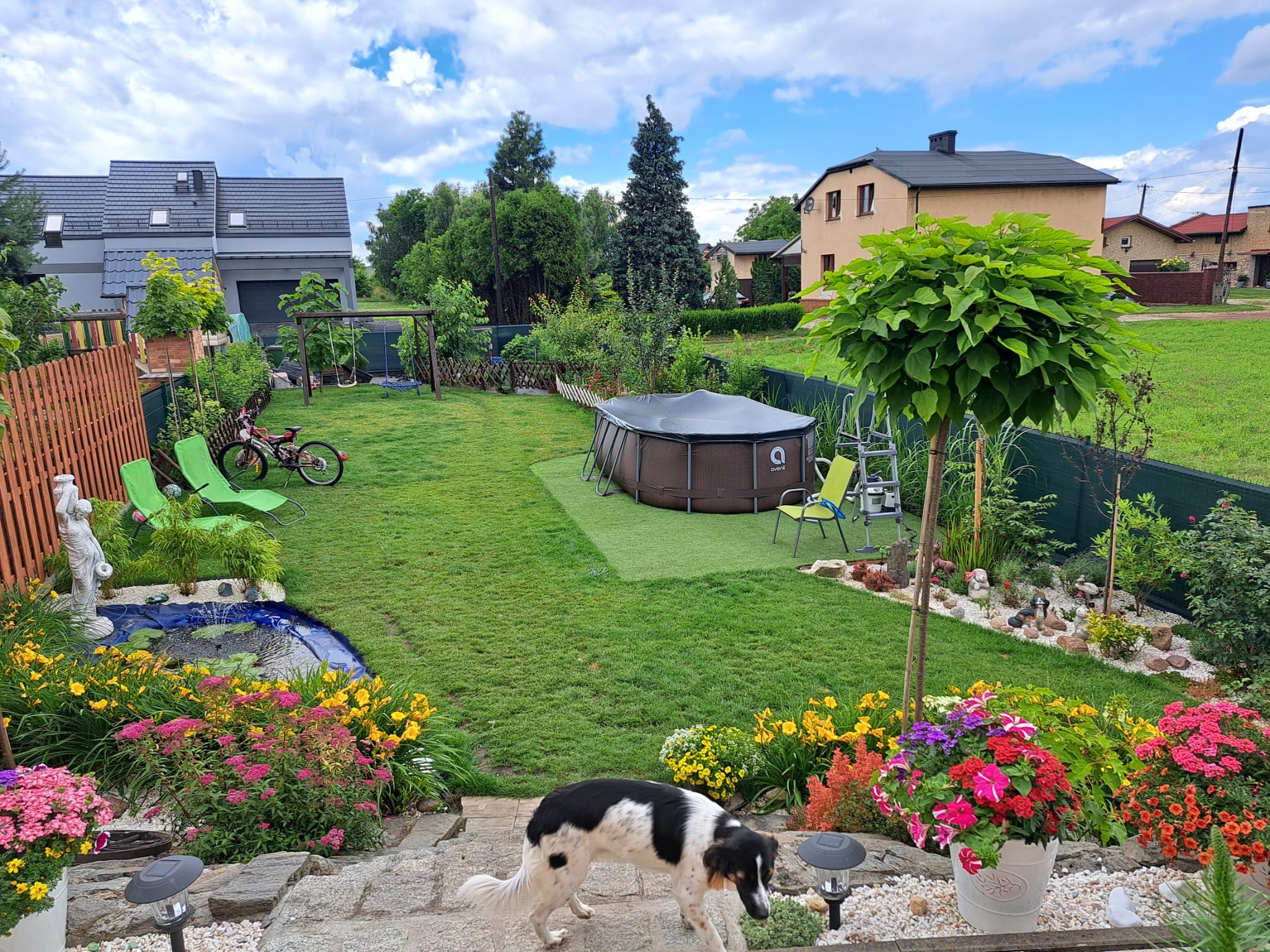 Ujęcie ogrodu z trawnikiem, basenem, oczkiem wodnym z fontanną, rabatami kwiatowymi i psem rasy border collie na pierwszym planie, schody z kamienia prowadzą w dół.