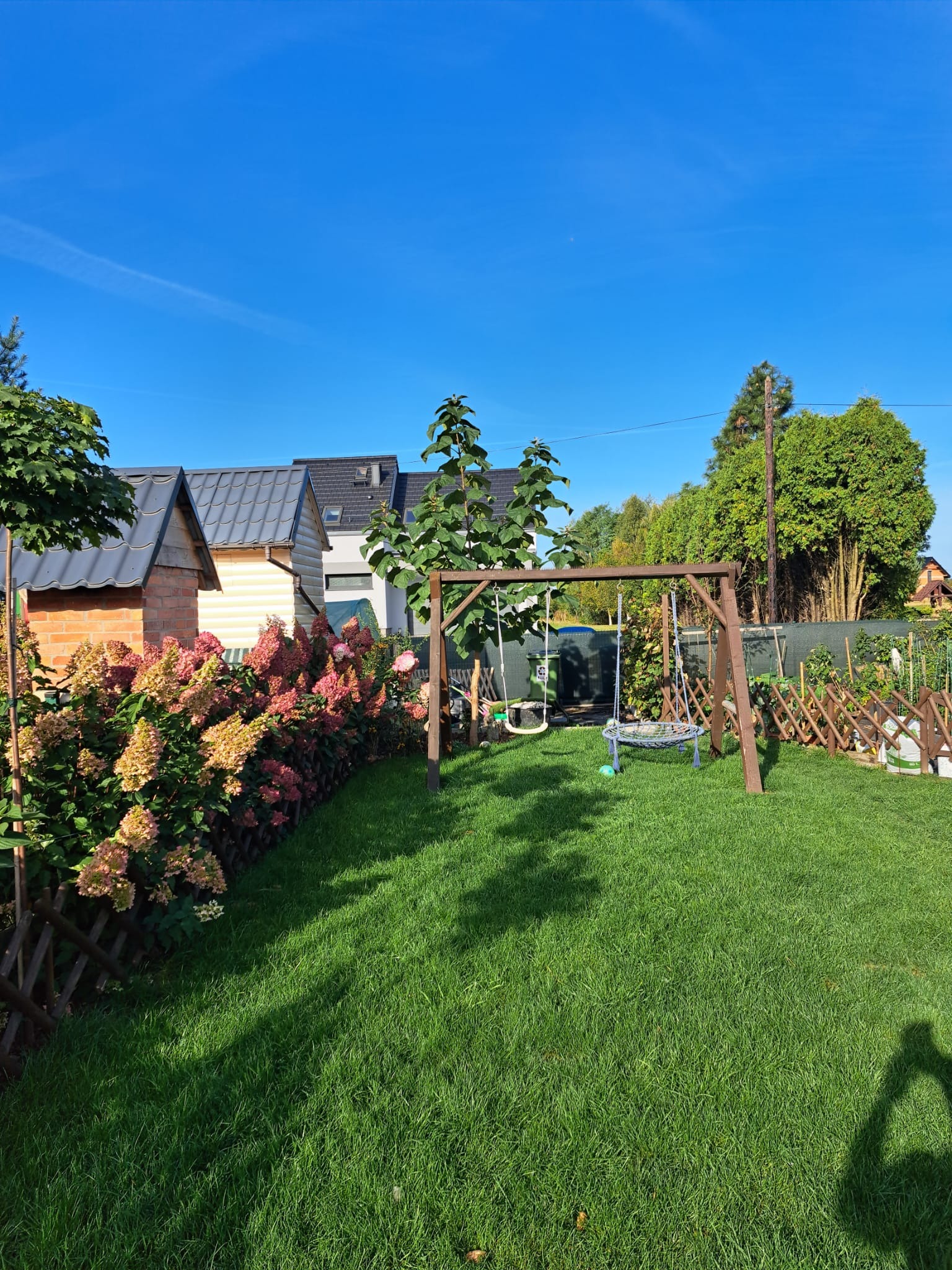 Zadbany trawnik z drewnianą huśtawką w ogrodzie, obok kwitnące hortensje i drewniany płotek, w tle zabudowa jednorodzinna pod błękitnym niebem.