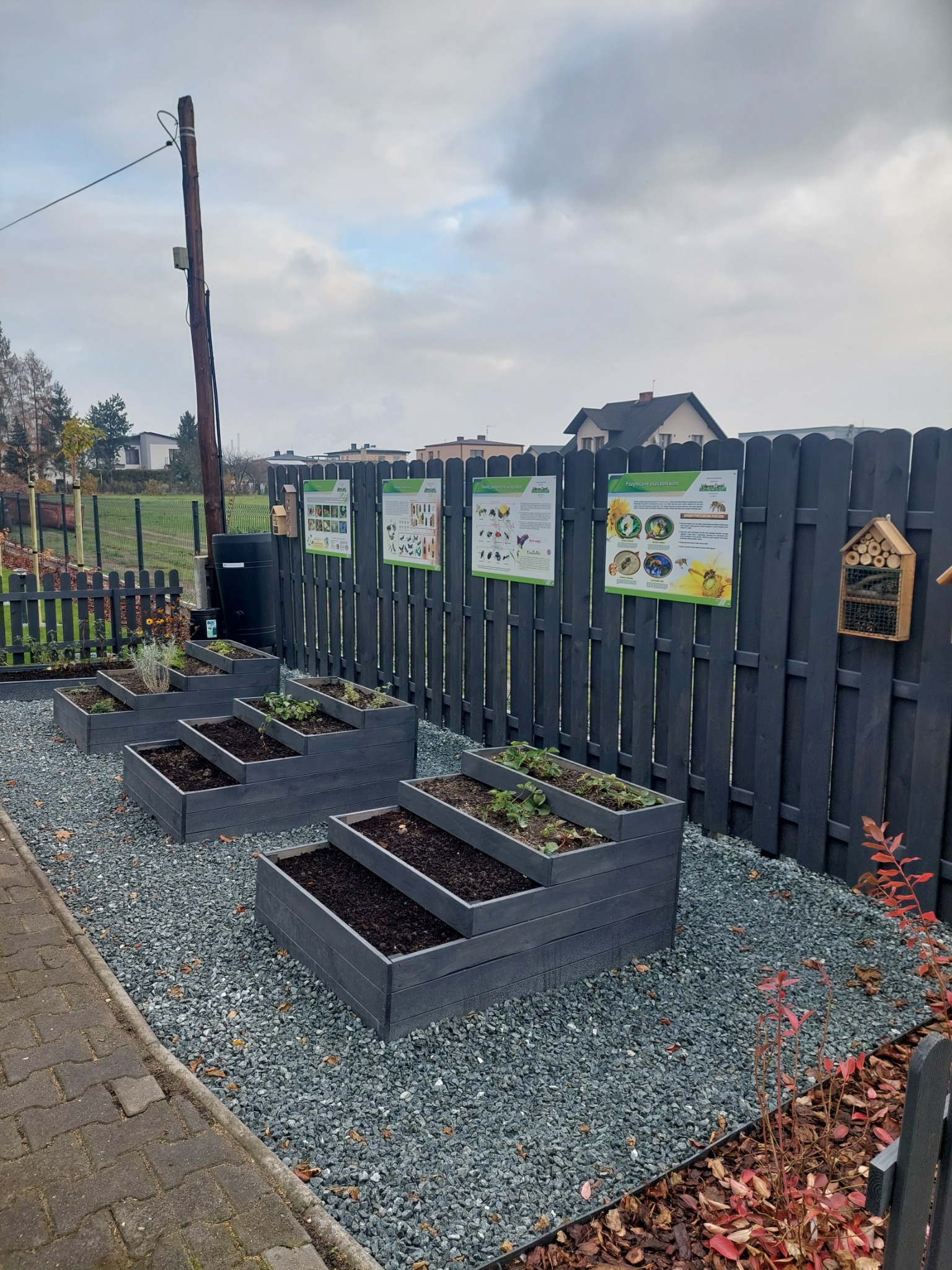 Kaskadowe, drewniane donice z ziemią i sadzonkami na żwirowym podłożu, ustawione wzdłuż ciemnego płotu z edukacyjnymi tablicami i domkiem dla owadów. W tle widoczny budynek mieszkalny i słup...