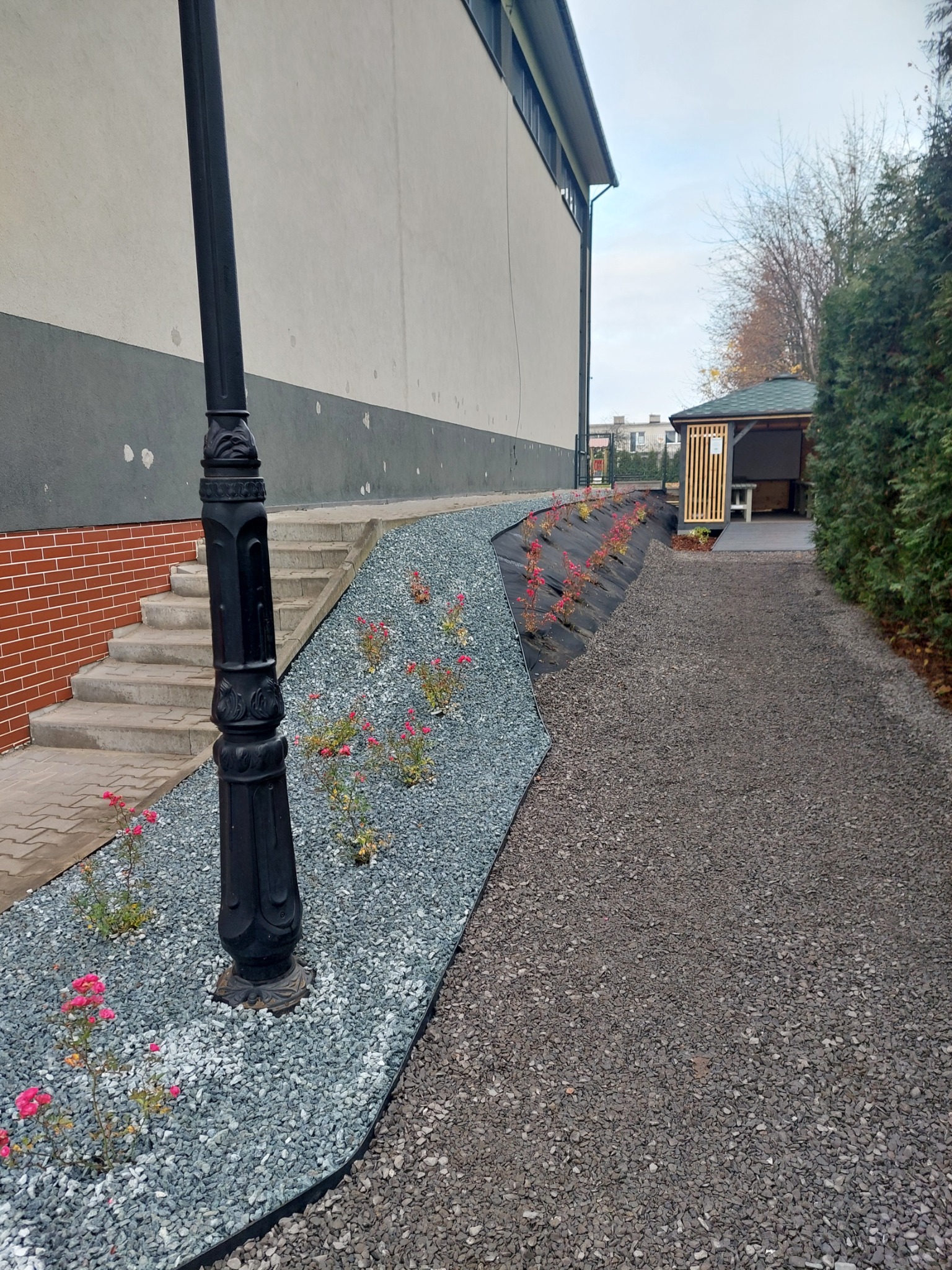 Świeżo posadzone róże na zboczu wysypanym szarym żwirem, zabezpieczone czarną agrowłókniną, obok ozdobna latarnia i ścieżka z ciemniejszego żwiru, w tle altana.