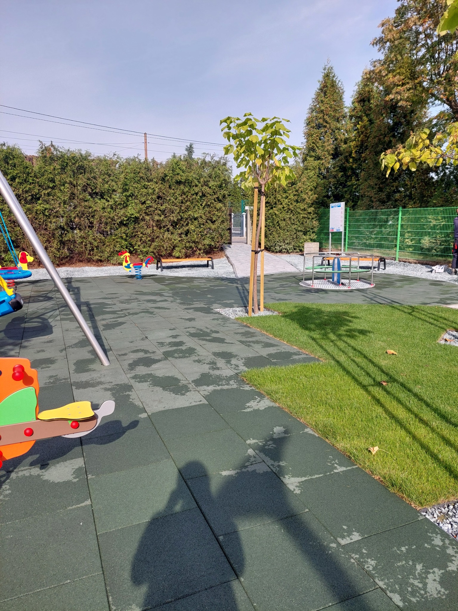 Nowo założony trawnik z rolki graniczący z placem zabaw wyłożonym gumową nawierzchnią, młode drzewko zabezpieczone palikami, w tle żywopłot i elementy placu zabaw.