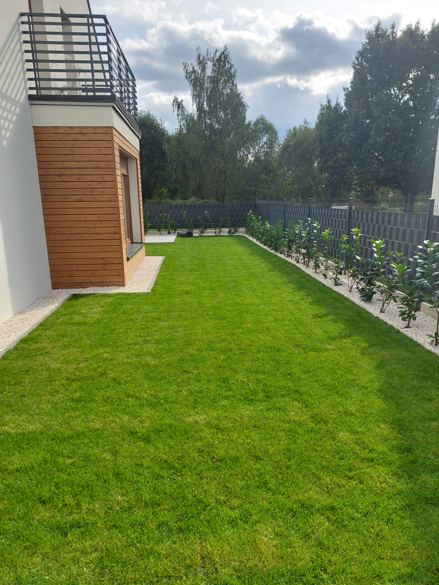 Zadbany trawnik przylegający do nowoczesnego domu z drewnianą elewacją, obrzeża z białego żwiru, rząd młodych drzewek wzdłuż ogrodzenia.