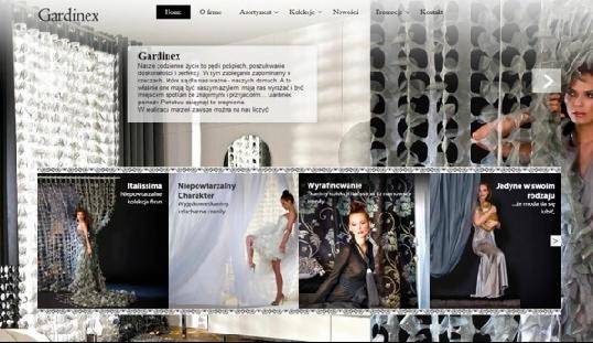 Strony www, sklepy i multimedia