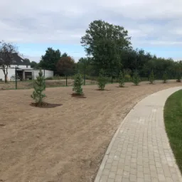 Widok na świeżo posadzone małe drzewka iglaste na terenie z wyrównaną ziemią, obok ścieżki z kostki brukowej i bieżni lekkoatletycznej, w tle ogrodzenie i budynki.