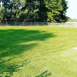 Rozległy trawnik z rolki, świeżo rozłożony, o intensywnej zieleni, otoczony siatką ogrodzeniową i drzewami w tle, z widocznymi cieniami drzew na powierzchni trawy.