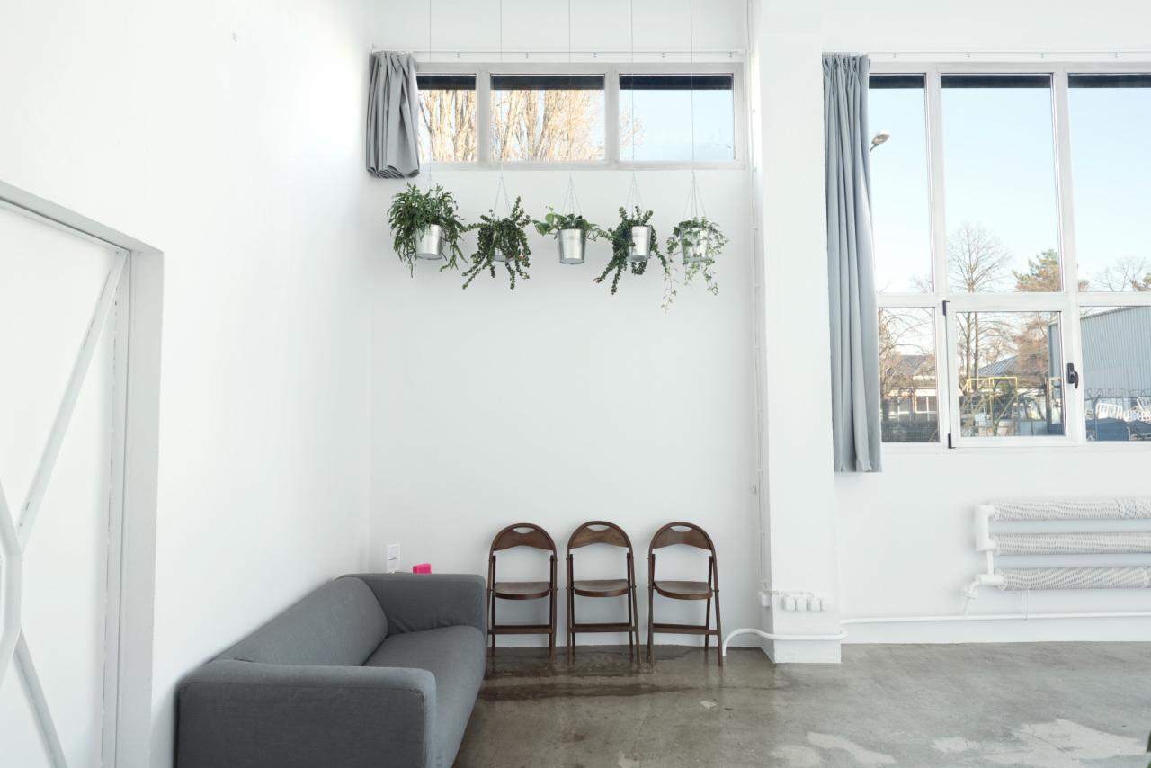 Jasne studio fotograficzne w Warszawie z szarą sofą, trzema krzesłami i wiszącymi roślinami doniczkowymi pod oknem.