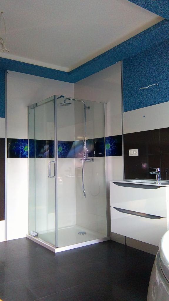 Nowoczesna kabina prysznicowa z deszczownicą w łazience z niebieskimi akcentami i ciemną podłogą.
