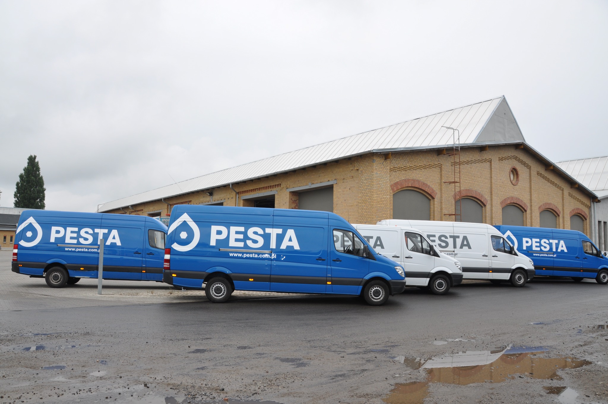 Flota firmowych samochodów dostawczych w kolorach niebieskim i białym, z logo firmy PESTA, zaparkowana przed budynkiem magazynowym z cegły.