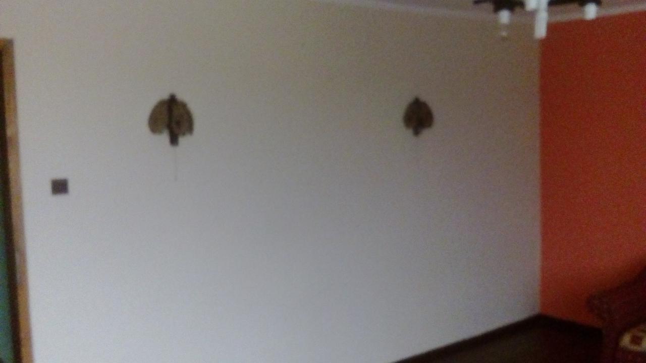 Pokój po malowaniu: biała ściana z dwoma dekoracjami w kształcie liści, fragment ściany pomalowany na pomarańczowo, ciemna podłoga i fragment sufitu z lampą.