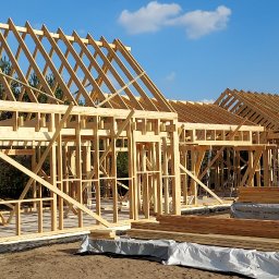 Domy szkieletowe Skoki 2