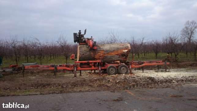 Mobilna traka tnąca kłodę drewna na tle sadu z drzewami bez liści, widoczne trociny i błoto.