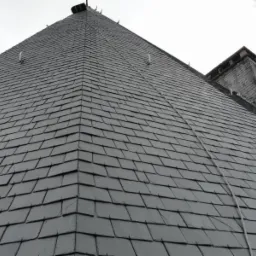 Blacharstwo - Dekarstwo