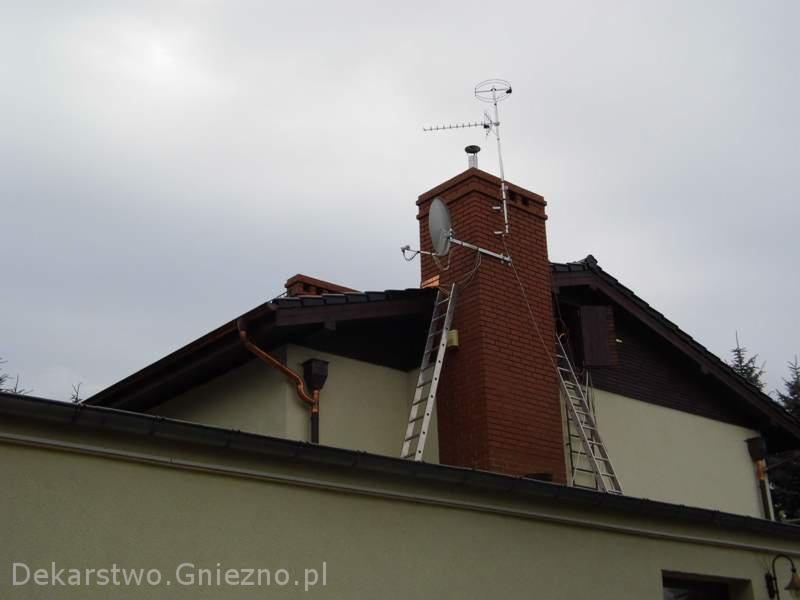 Dąbrowa koło poznania.