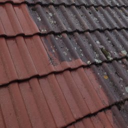 NO LIMIT Damian Krzesak - Porządne Osuszanie Fundamentów w Legnicy