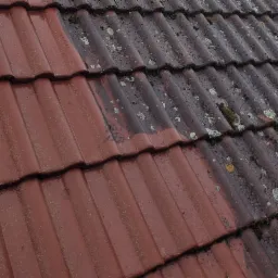 Częściowo wyczyszczony dach z czerwonej dach&oacute;wki, widoczny mech i porosty na nieumytych fragmentach. Kontrast czystej i brudnej powierzchni. Ujęcie z g&oacute;ry.