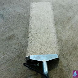 TECTUS Agnieszka Jaworska - Profesjonalne czyszczenie dywanu z wyraźną różnicą między obszarem wyczyszczonym a zabrudzonym, widoczna końcówka urządzenia czyszczącego i logo firmy w prawym dolnym rogu.