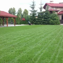 Idealnie skoszony trawnik z widocznymi pasami po kosiarce w Tarnowie. Na tyłach domu altana, drzewa i krzewy.