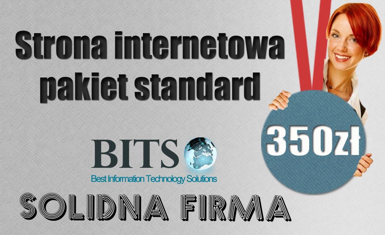 Identyfikacja wizualna firmy