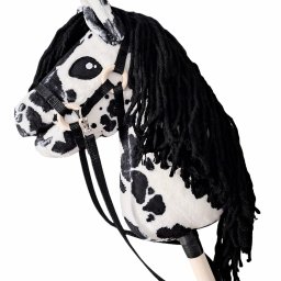 Szwalnia odzieży Chojnice 1