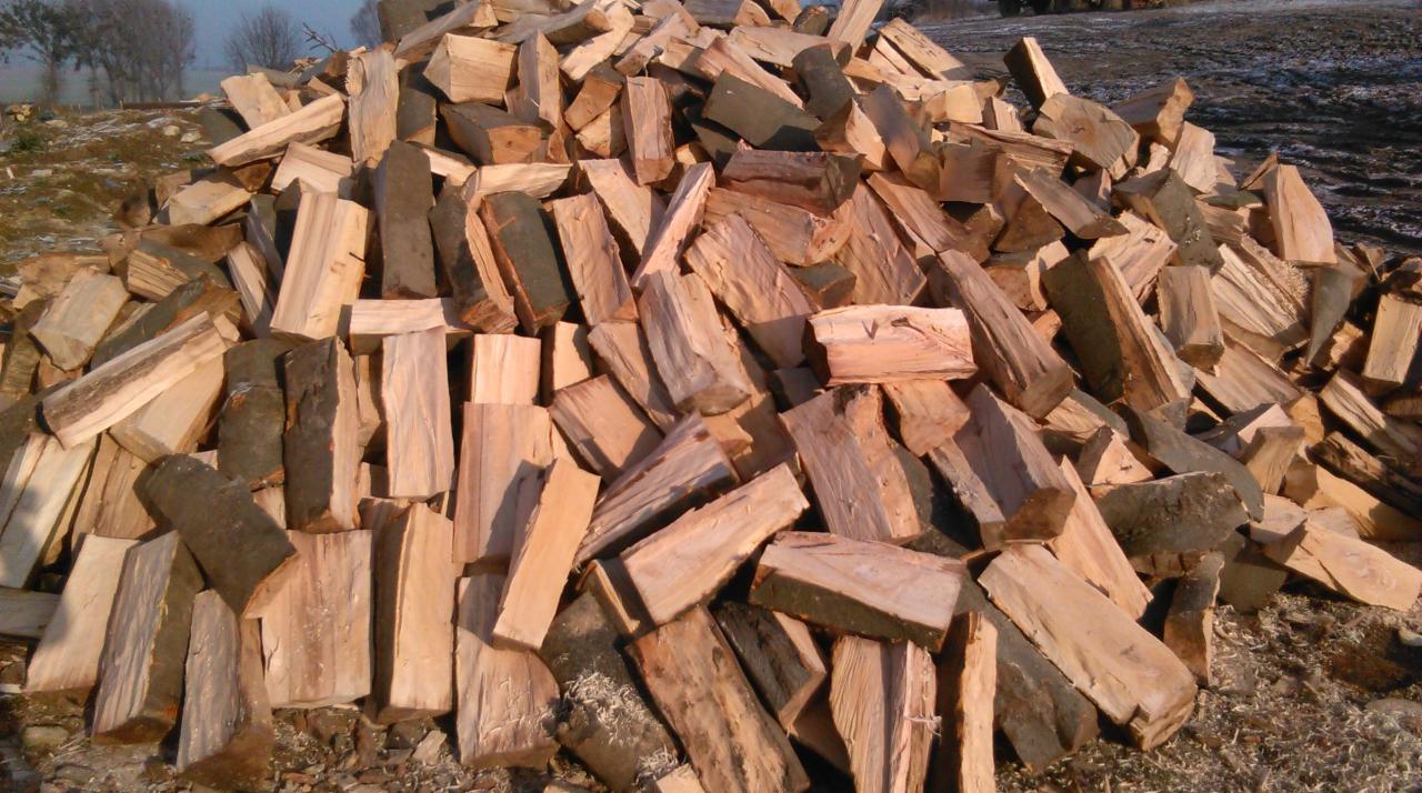 Stos pociętego drewna kominkowego na ziemi w słoneczny dzień. Kawałki różnej wielkości, niektóre z korą. W tle widoczne drzewa i fragment sprzętu rolniczego.