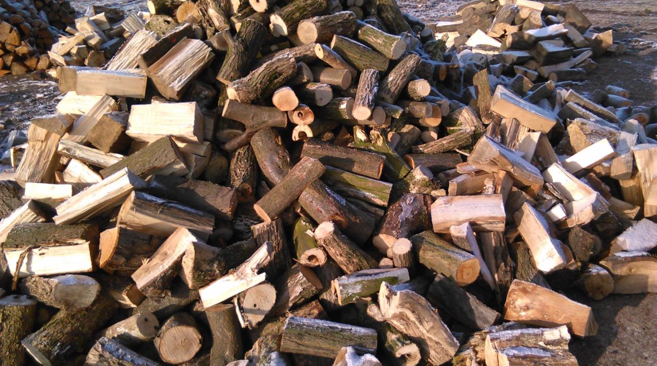 Stos pociętych kawałków drewna opałowego z korą, częściowo pokrytych szronem, ułożonych na zewnątrz w słoneczny dzień. Widoczne słoje drewna.
