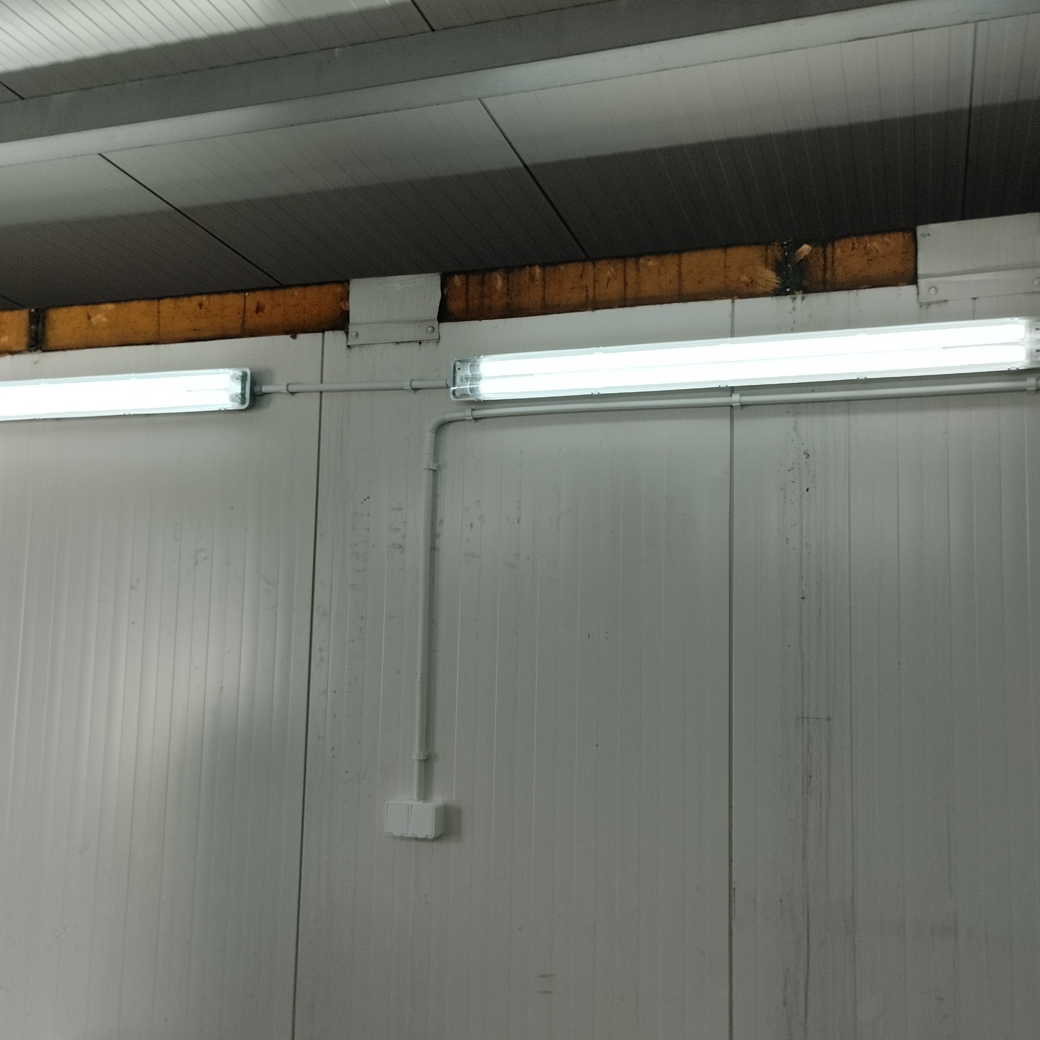Dwie świetlówki zamontowane na białej, panelowej ścianie w pomieszczeniu przemysłowym, z widocznymi przewodami elektrycznymi i puszką instalacyjną.