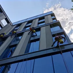 Czterech alpinist&oacute;w przemysłowych na linach czyści okna nowoczesnego biurowca z elementami szklanymi, widok z dołu na błękitne niebo i korony drzew.