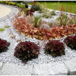 Kaskadowa rabata z żwirem i obrzeżem z jasnoszarego granitu, bordowe żurawki na pierwszym planie, w tle rośliny kwitnące i trawnik.