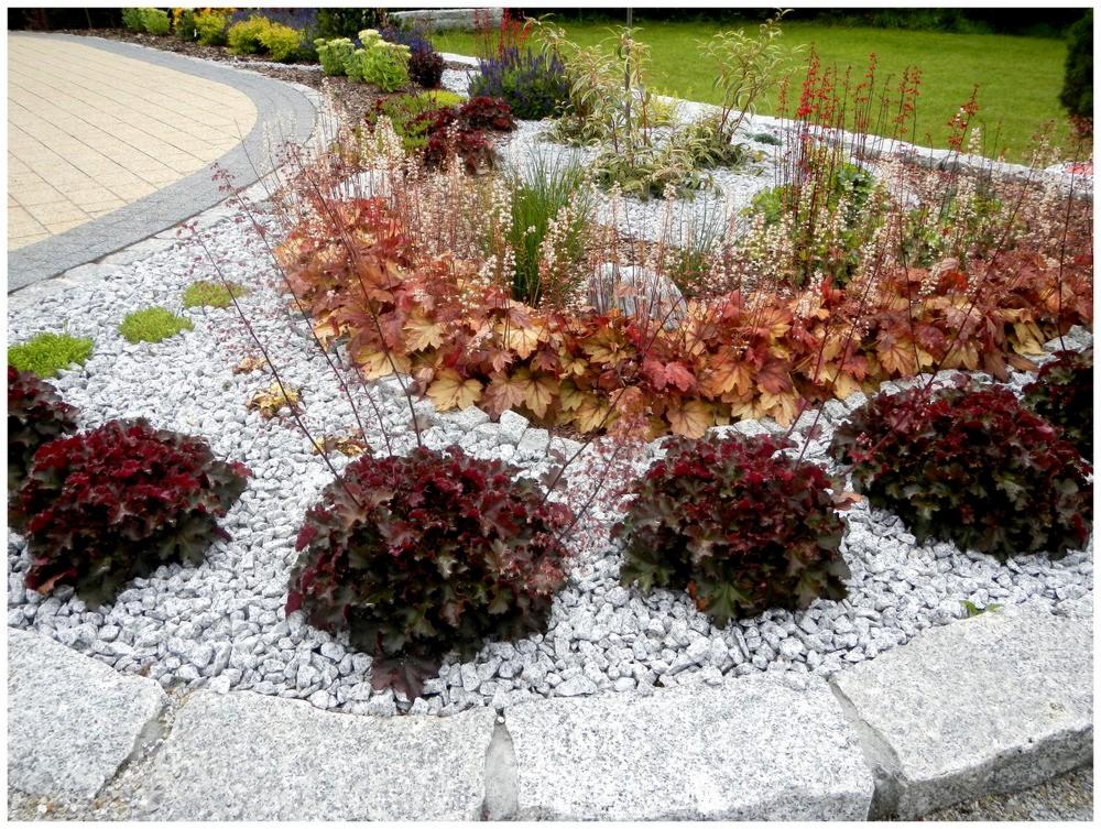 Kaskadowa rabata z żwirem i obrzeżem z jasnoszarego granitu, bordowe żurawki na pierwszym planie, w tle rośliny kwitnące i trawnik.