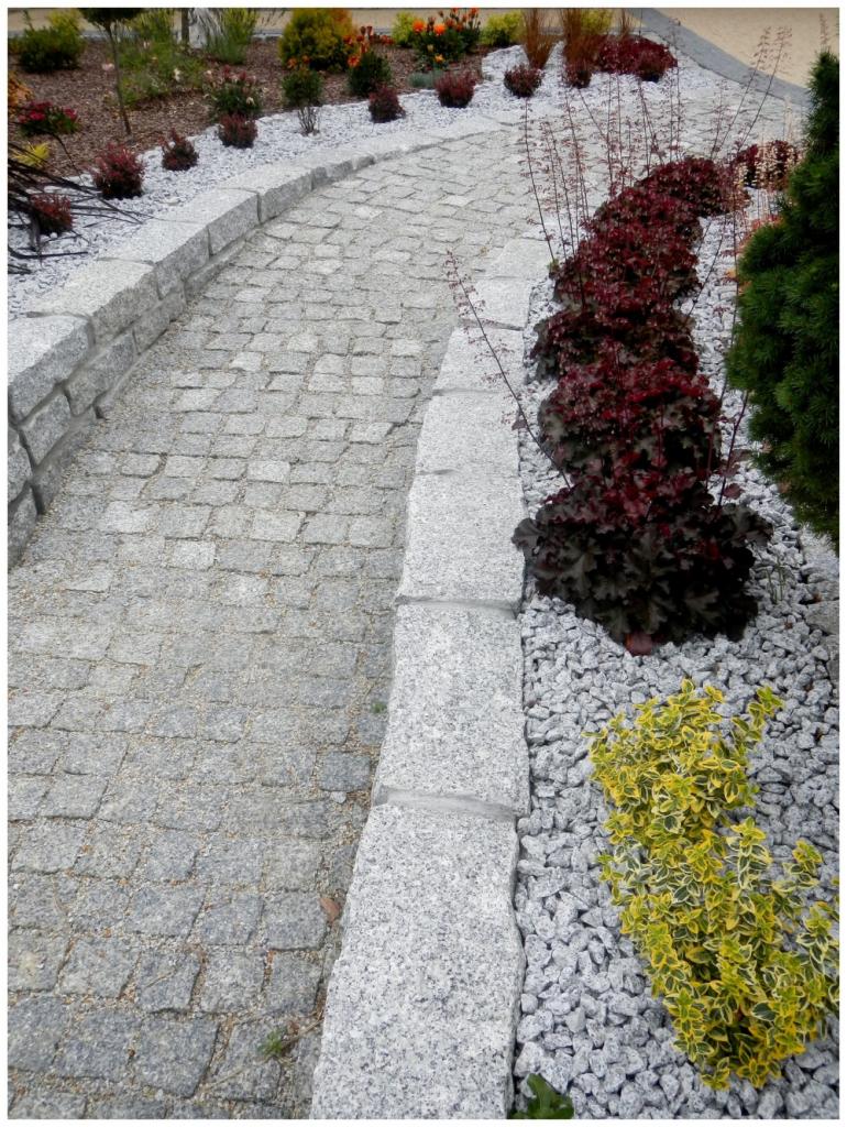 Zakrzywiony chodnik z kostki brukowej, obramowany kamiennymi obrzeżami i wysypany drobnym żwirem, otoczony roślinnością ozdobną w ogrodzie.