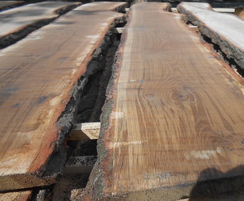 Surowe deski z korą, ułożone równolegle, z widocznym rysunkiem drewna i drobnymi wiórami. Widok z góry, oświetlenie naturalne.