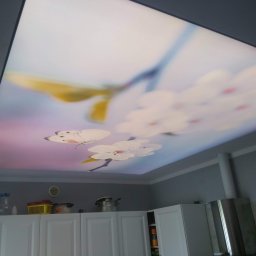Dariusz Ostasiewicz - Biały sufit napinany z motywem kwiatów i motyla w kuchni, widok z dołu. Nowoczesne wykończenie wnętrza, subtelne oświetlenie.