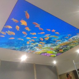 Dariusz Ostasiewicz - Prostokątny sufit napinany z podświetleniem, imitujący podwodny świat z rybami i rafą koralową, widziany z dołu. W tle fragment ściany i drabina.