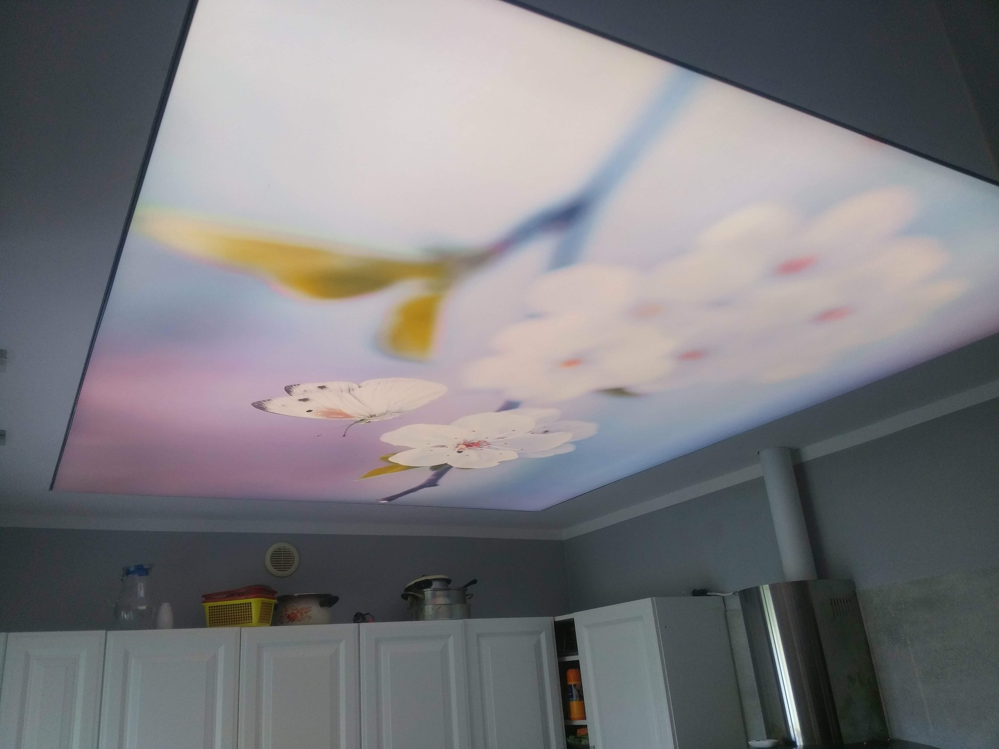 Biały sufit napinany z motywem kwiatów i motyla w kuchni, widok z dołu. Nowoczesne wykończenie wnętrza, subtelne oświetlenie.