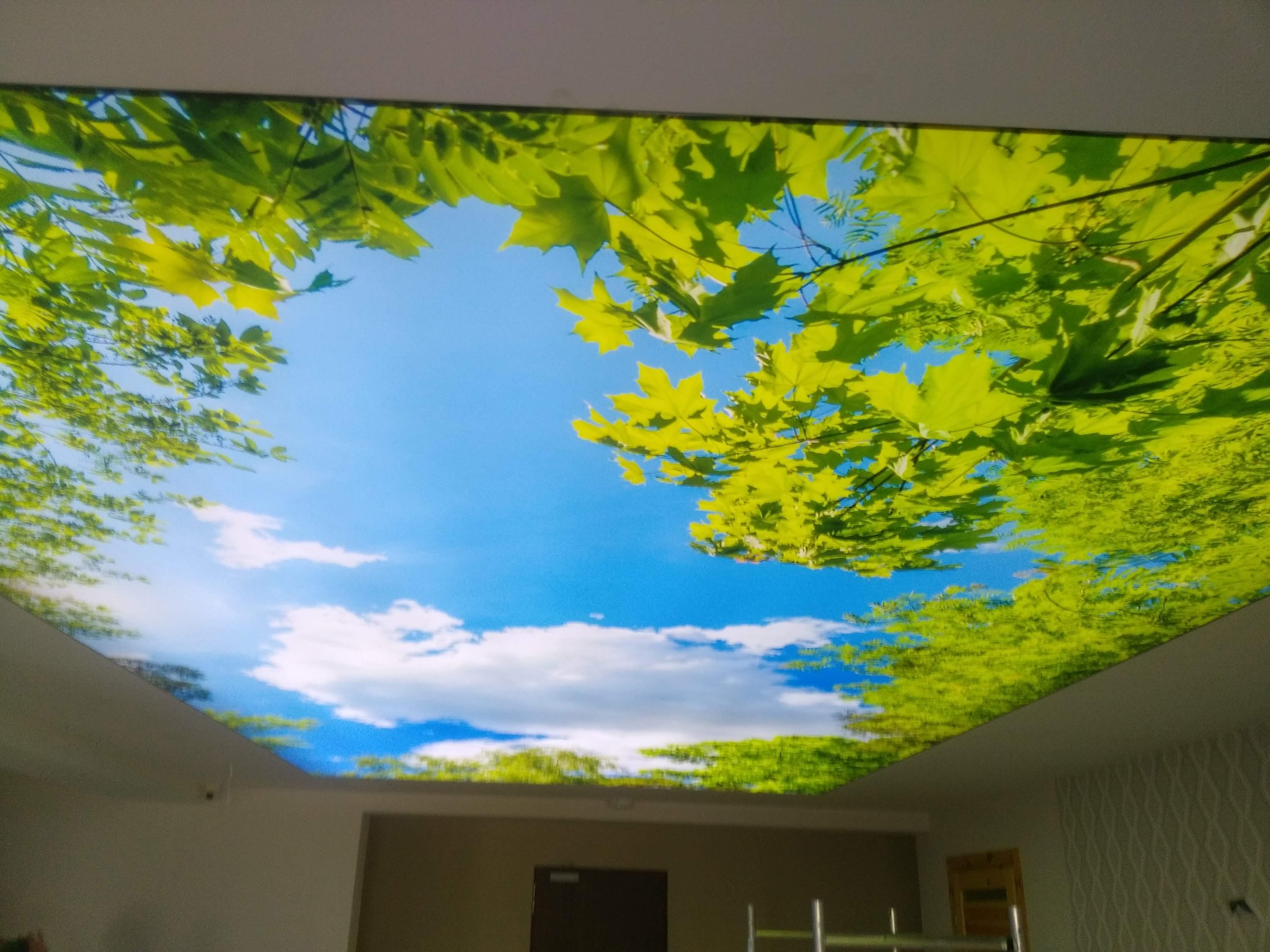 Sufit napinany z fotorealistycznym nadrukiem nieba, chmur i zielonych liści, imitujący widok z perspektywy leżącej osoby. Nowoczesne wykończenie wnętrza.