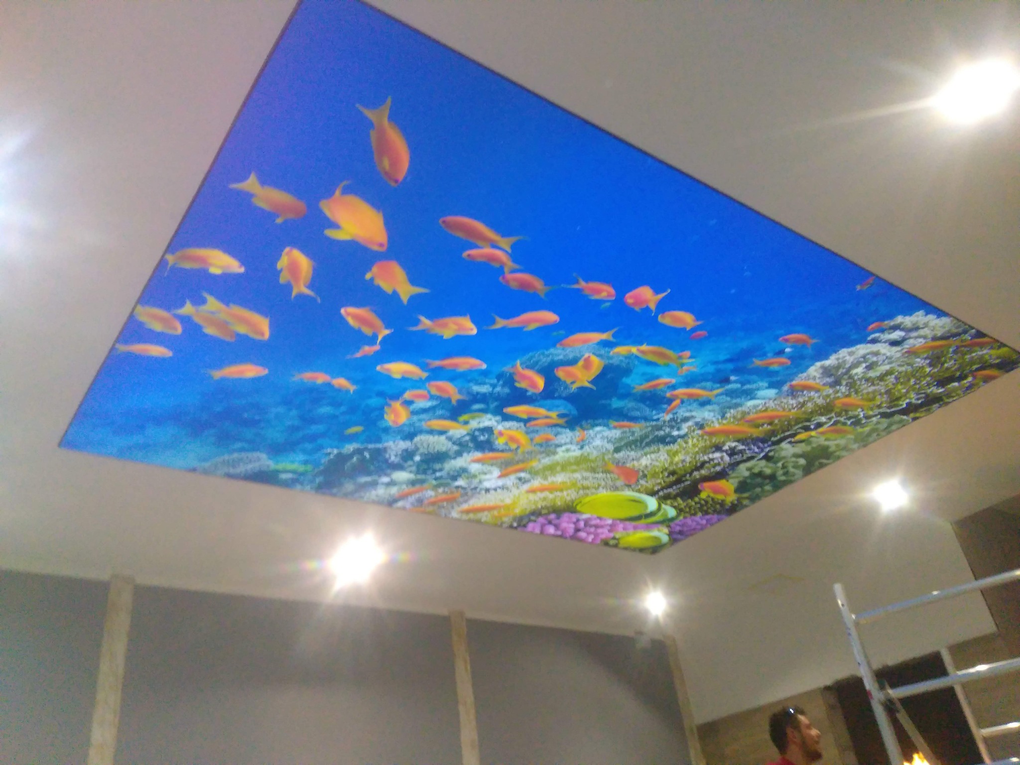 Prostokątny sufit napinany z podświetleniem, imitujący podwodny świat z rybami i rafą koralową, widziany z dołu. W tle fragment ściany i drabina.