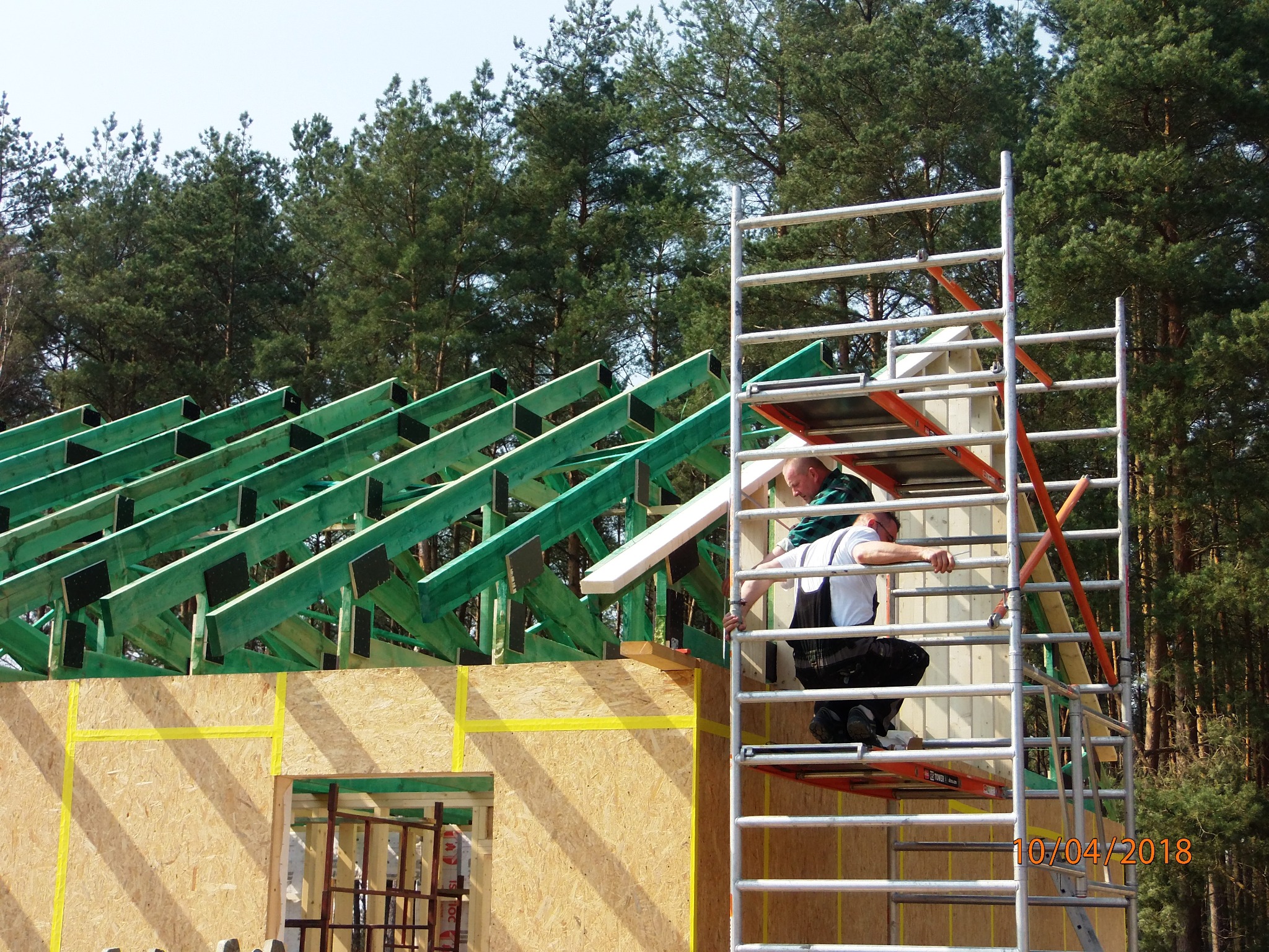 Budowa domu w stanie surowym: dwaj pracownicy na rusztowaniu montują elementy więźby dachowej, widoczne płyty OSB ścian z wyciętymi otworami okiennymi i las sosnowy w tle.