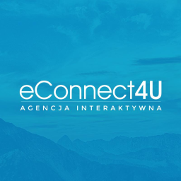 EConnect4U Sp. z o.o. Sp. k. - Audyt SEO Sosnowiec