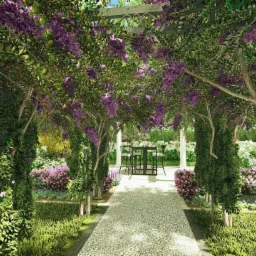 Pergola porośnięta kwitnącą glicynią tworząca tunel nad ścieżką z białego żwiru prowadzącą do stołu z krzesłami w zadbanym ogrodzie.