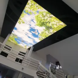 Czarny, lustrzany sufit z wbudowanym podświetlanym panelem przedstawiającym błękitne niebo z białymi obłokami, kwitnące drzewa i lecące gołębie, widok z dołu na białą spiralną klatkę schodową.