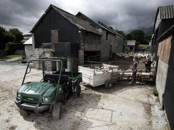 Zielony pojazd Kawasaki MULE 4010 Diesel 4x4 z przyczepą wypełnioną owcami na tle zabudowań gospodarczych i stada owiec