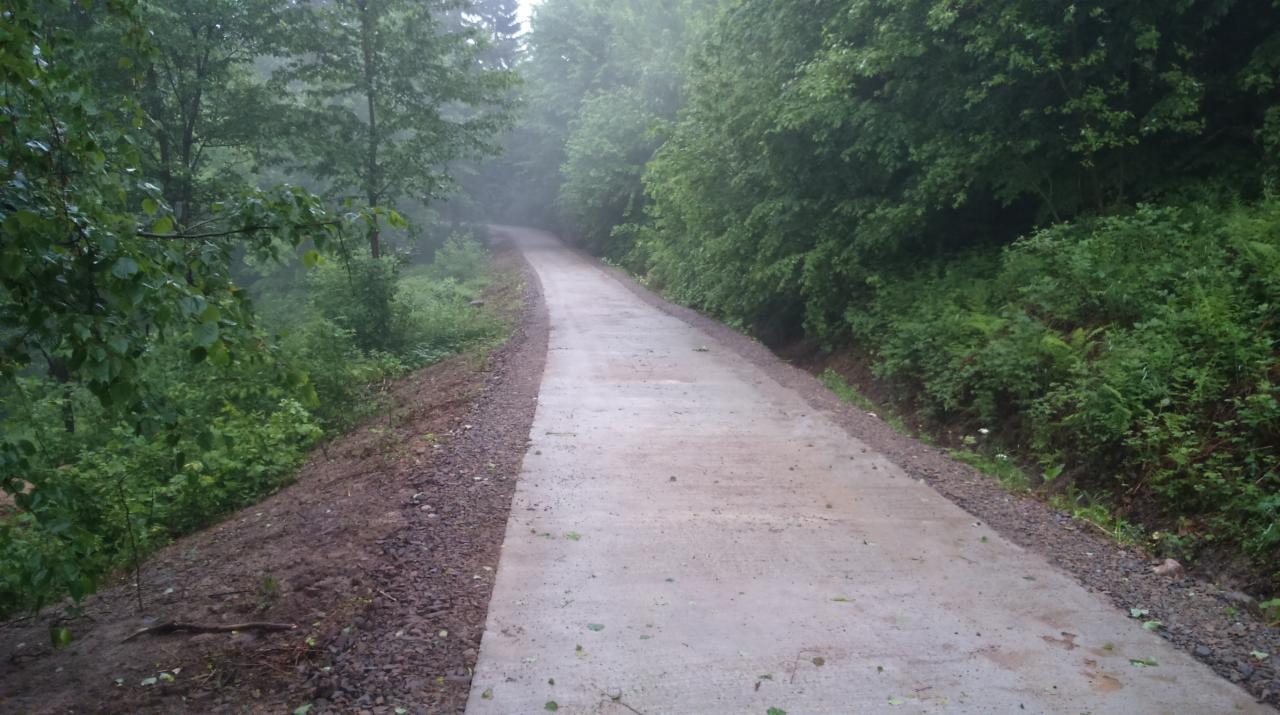 Betonowa droga wijąca się przez zalesiony teren w pochmurny dzień. Widoczne świeże nasypy po bokach drogi.