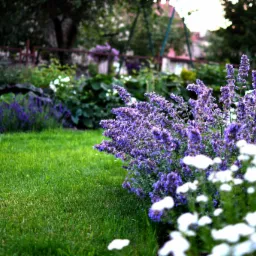 Kwitnący, swobodny ogród z rabatami w ciepłych odcieniach fioletu i bieli, z logo firmy Dream Garden w prawym górnym rogu.
