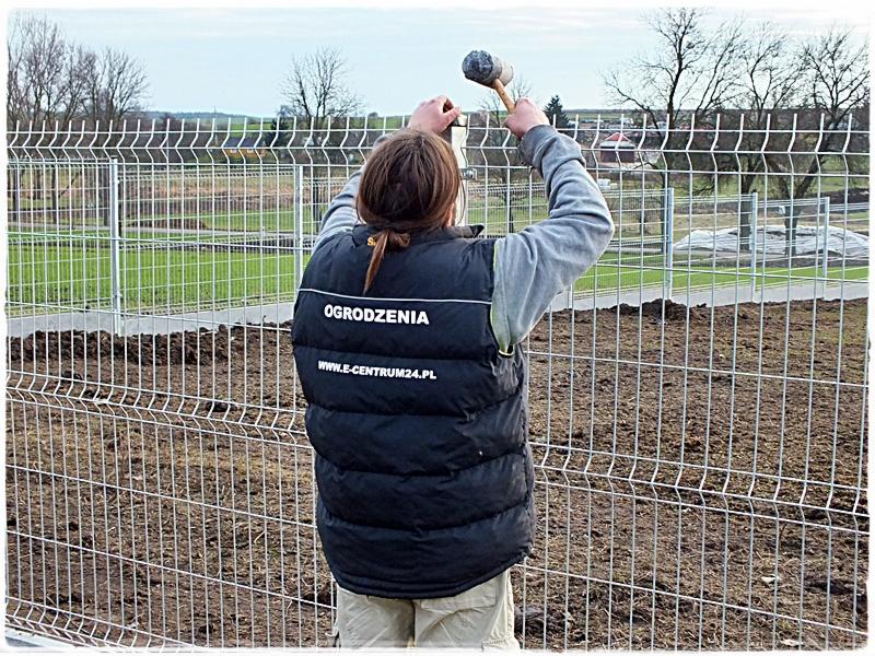 Pracownik w kamizelce firmowej montuje panel ogrodzeniowy za pomocą gumowego młotka. Widoczne pole i drzewa w tle.