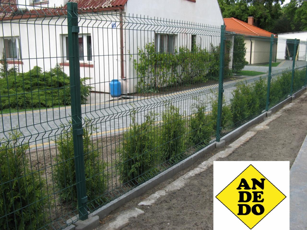 Zielone, panelowe ogrodzenie posesji z niskimi tujami wzdłuż betonowej obwódki. W tle biały dom z czerwonym dachem i niebieski pojemnik na wodę.