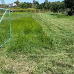 Częściowo skoszona trawa na działce, widoczna zielona brama i dom w tle. Efekt strzyżenia w pasy, wysoka trawa po lewej stronie bramy.