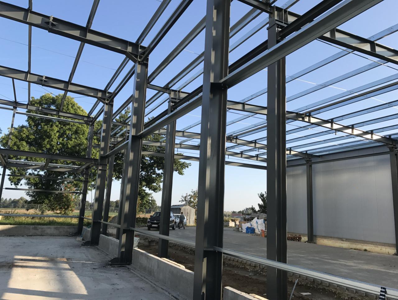 Wnętrze hali w trakcie budowy, widoczne stalowe słupy i belka stropowa, na zewnątrz zielone drzewa i błękitne niebo.