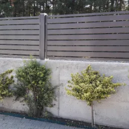 Nowoczesne ogrodzenie z poziomych, szarych paneli na betonowej podmurówce, z młodymi krzewami posadzonymi wzdłuż ogrodzenia, widok z zewnątrz.